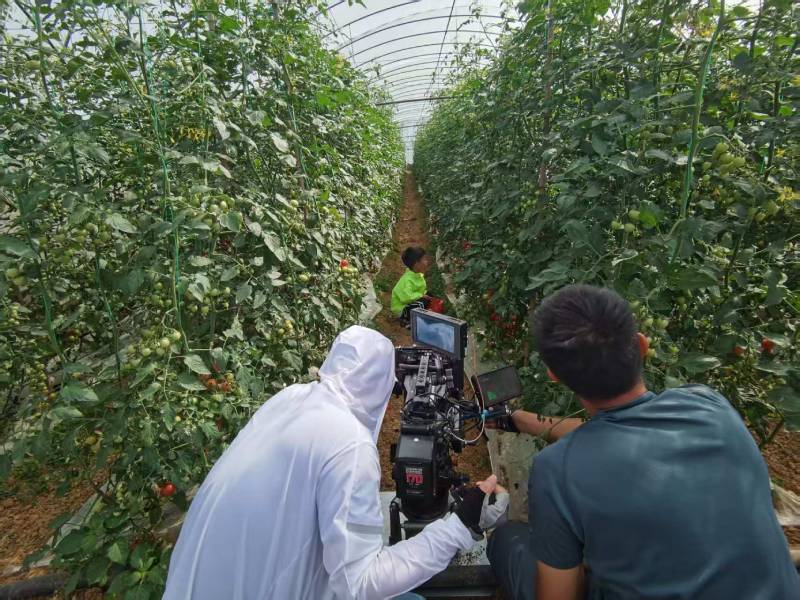 洪泽县产品宣传视频拍摄公司进阶指南，助力品牌抢占传播高地